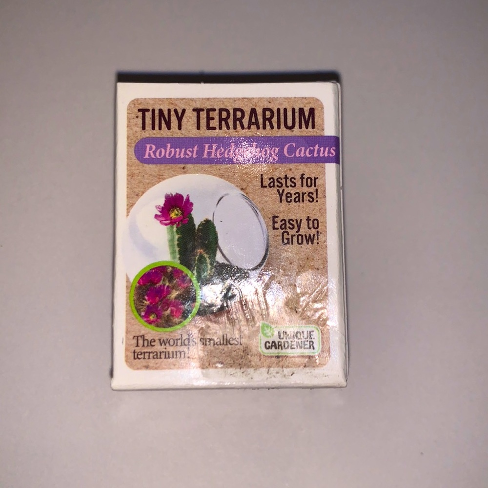Tiny terrarium